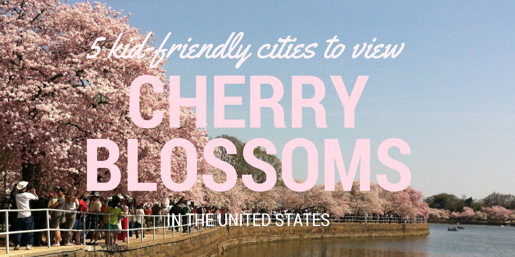 Kid-Friendly Cities to View Cherry Blossoms in the United States