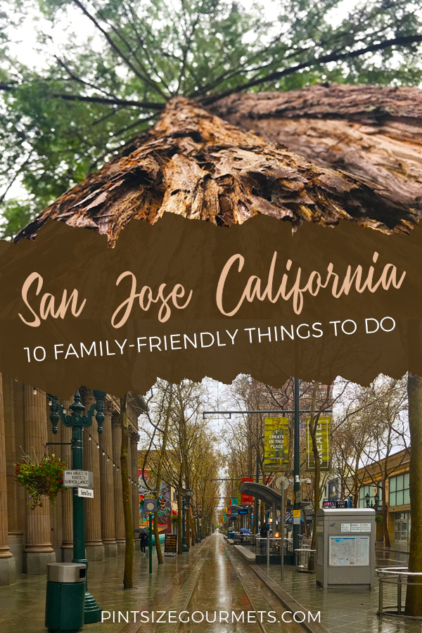 things to do with kids in san jose