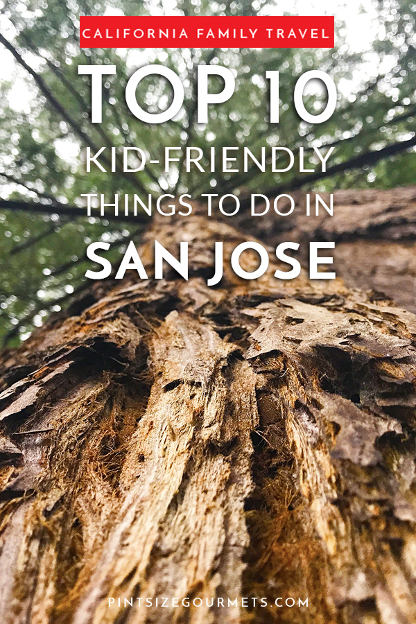 best things to do with kinds in san jose